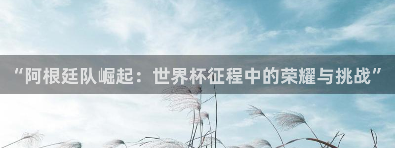 2026世界杯赛程时间表最新：“阿根廷队崛起：世界杯征程中的荣耀与挑战”