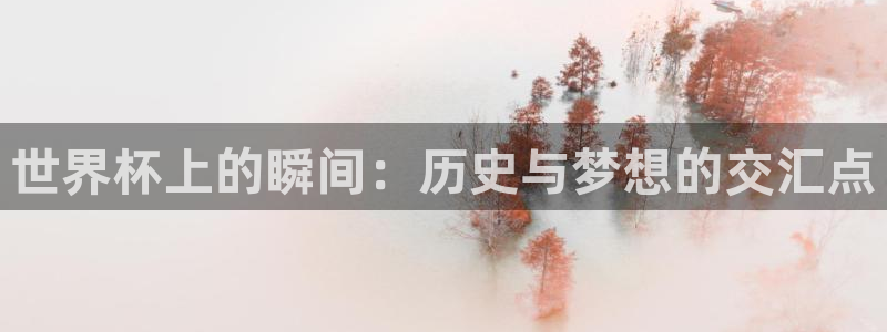 世界杯直播网站：世界杯上的瞬间：历史与梦想的交汇点