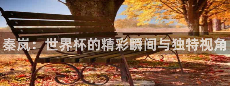 2026年世界杯时间表：秦岚：世界杯的精彩瞬间与独特视角