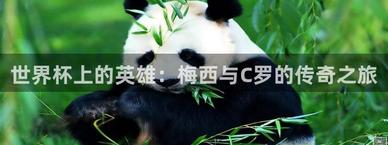 世界杯16强赛程表:世界杯上的英雄:梅西与C罗的传奇之旅