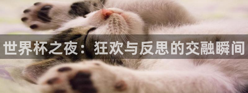 葡萄牙世界杯赛程：世界杯之夜：狂欢与反思的交融瞬间