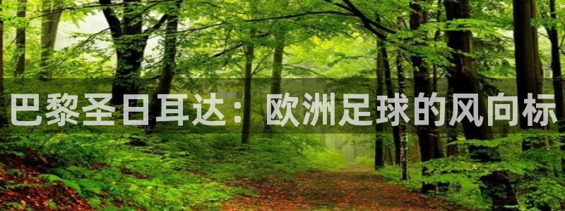亚洲杯足球：巴黎圣日耳达：欧洲足球的风向标