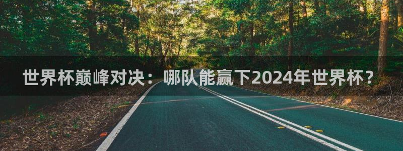 2006年世界杯冠军：世界杯巅峰对决：哪队能赢下2024年世界杯？