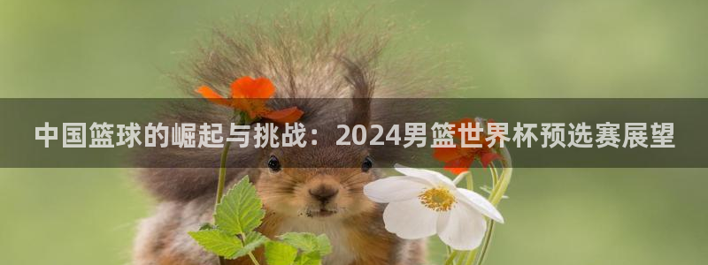 亚洲杯比赛直播：中国篮球的崛起与挑战：2024男篮世界杯预选赛展望