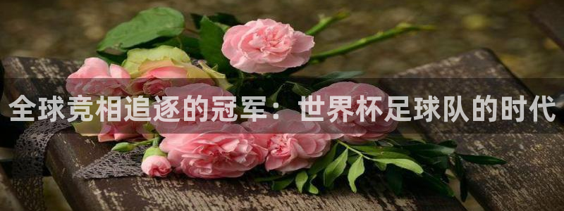 世界杯在线直播入口：全球竞相追逐的冠军：世界杯足球队的时代