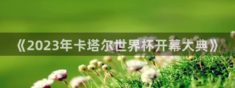 2026年世界杯赛程表时间：《2023年卡塔尔世界杯开幕大典》